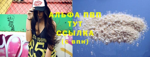 крисы Баксан