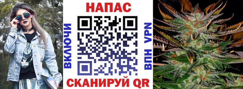 Бошки Шишки SATIVA & INDICA  кракен как войти  Бокситогорск 